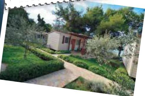 Campsites image