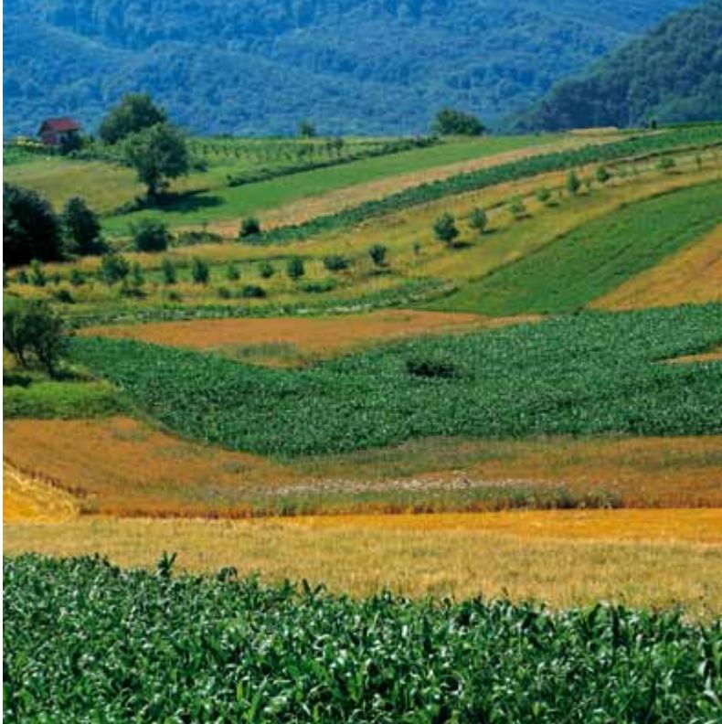 Croatia image