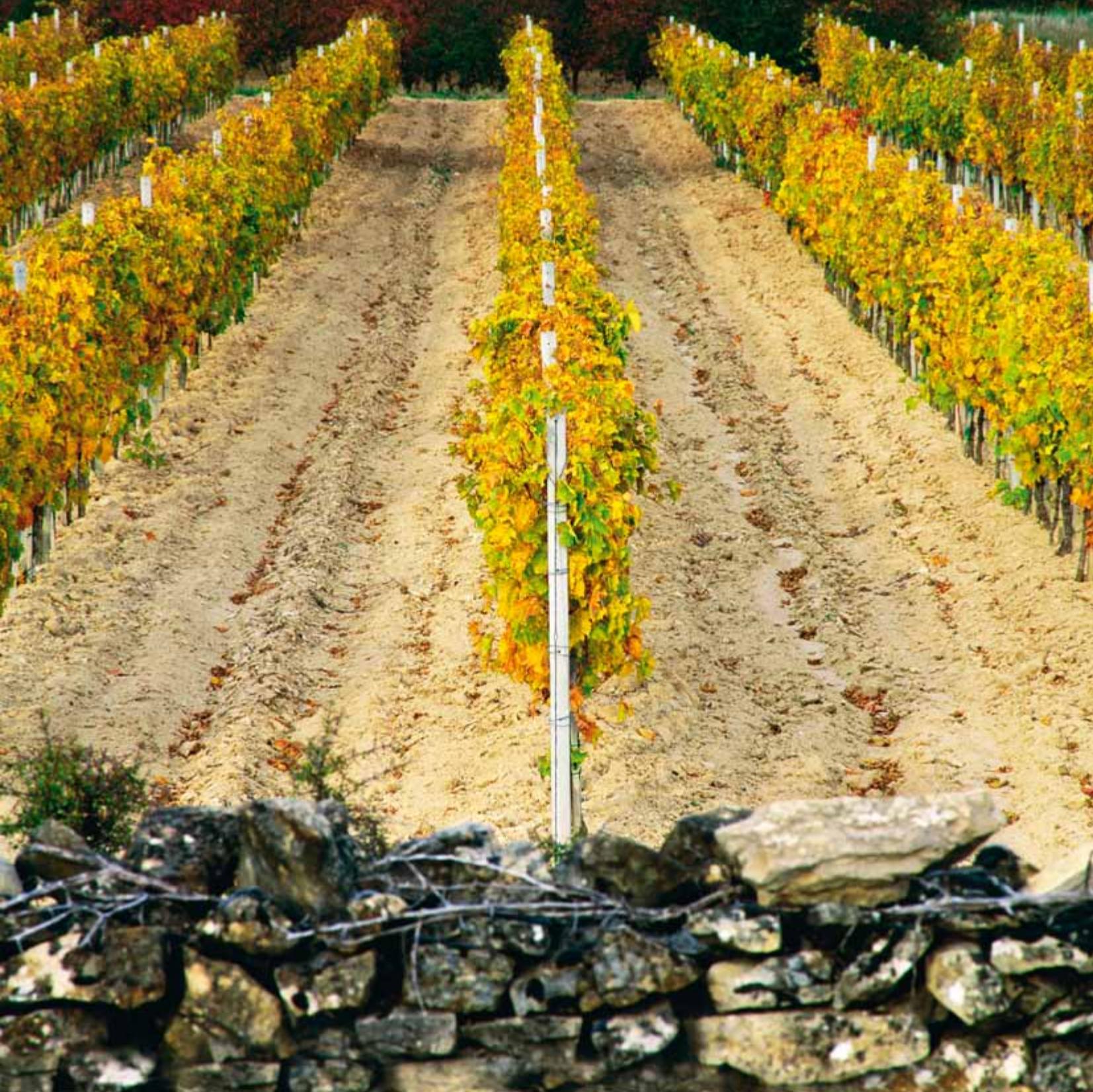 Croatia image