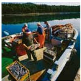 Croatia image