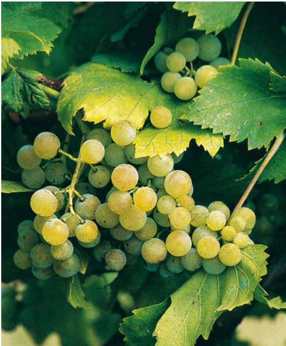 Croatia image