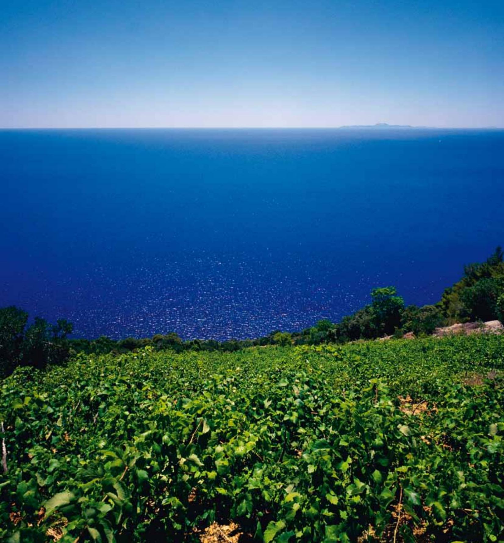 Croatia image