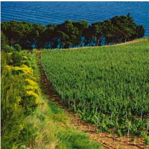 Croatia image