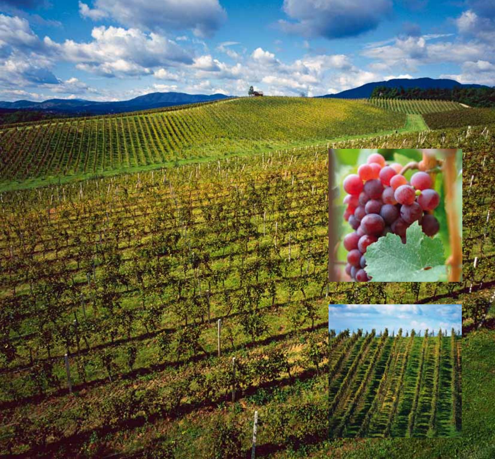 Croatia image