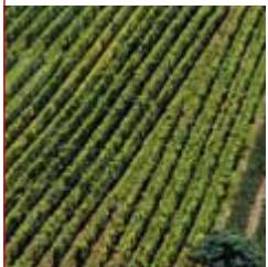 Croatia image