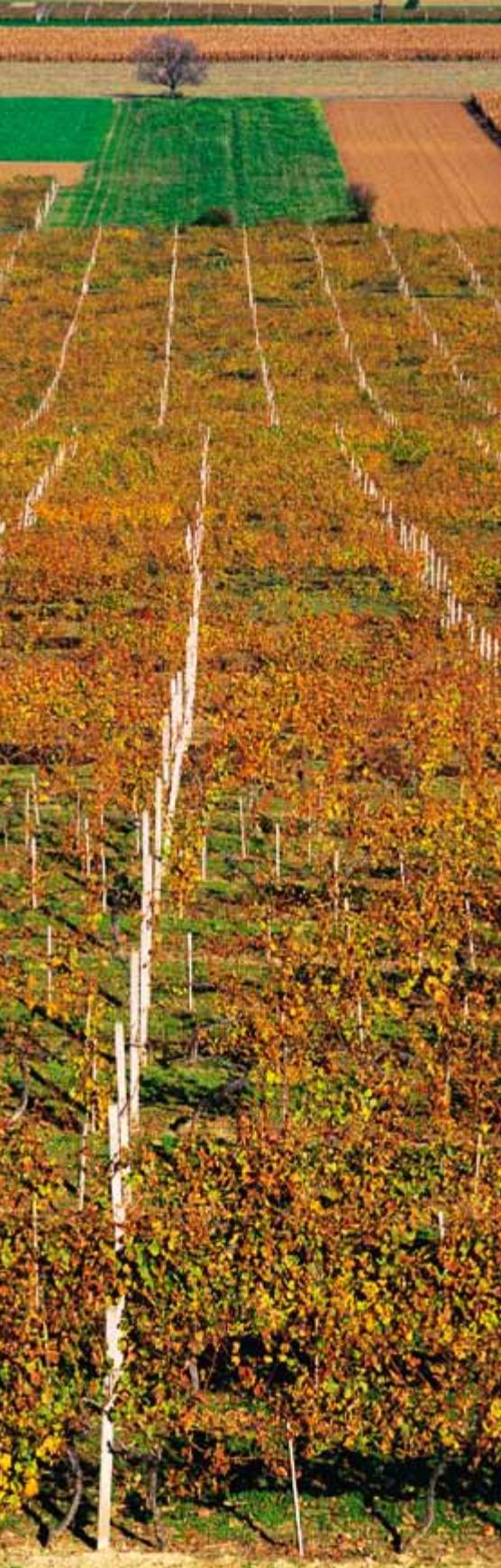 Croatia image