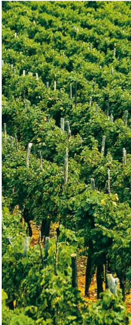 Croatia image