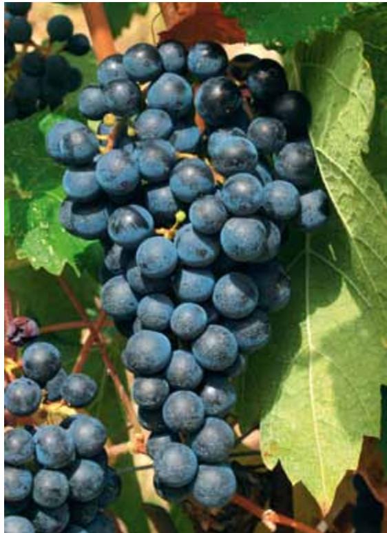 Croatia image