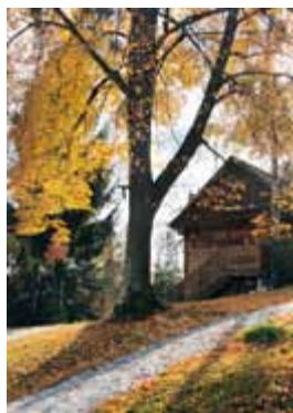 Croatia image