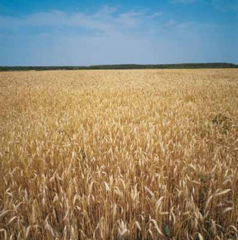 Croatia image