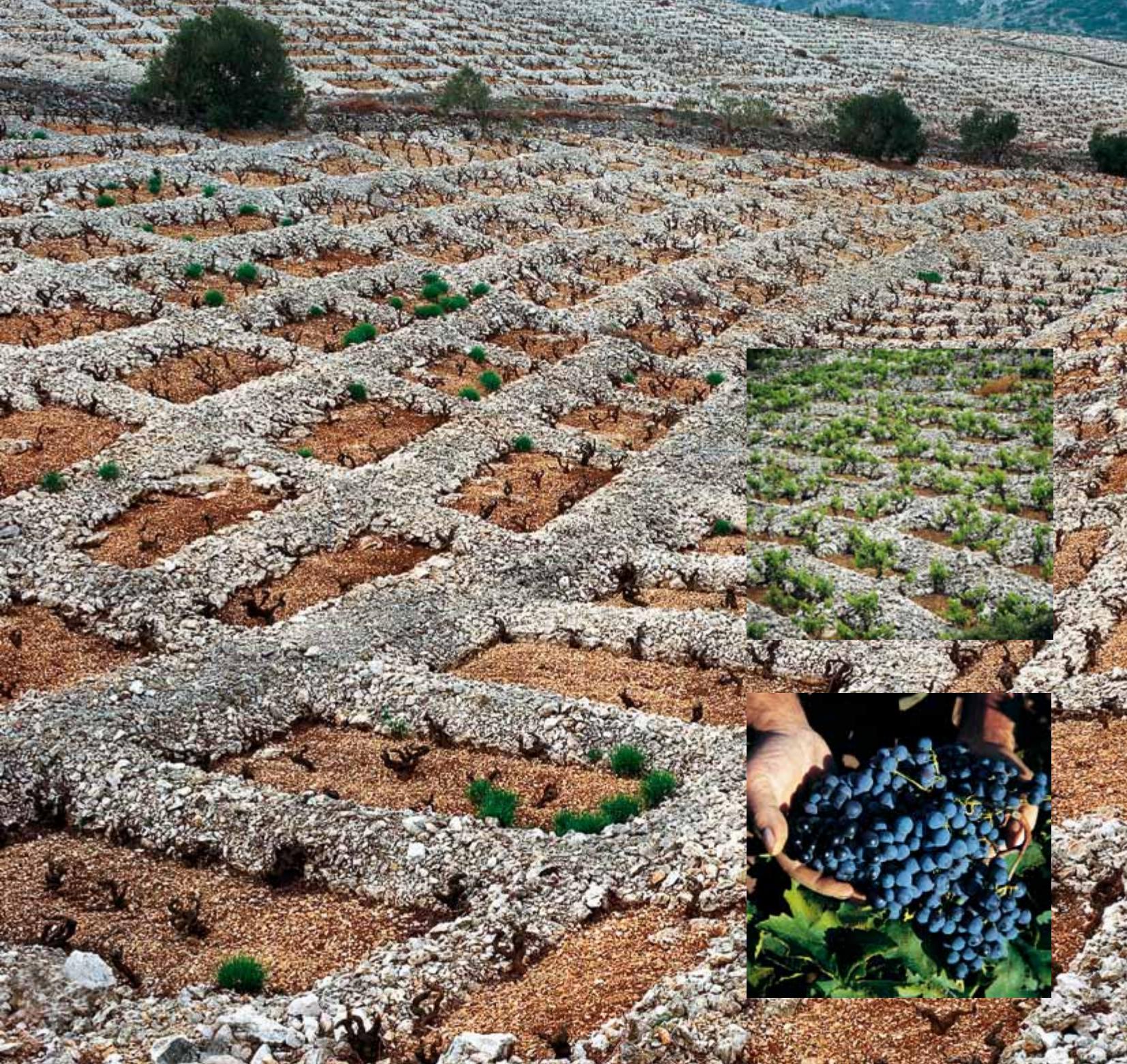 Croatia image