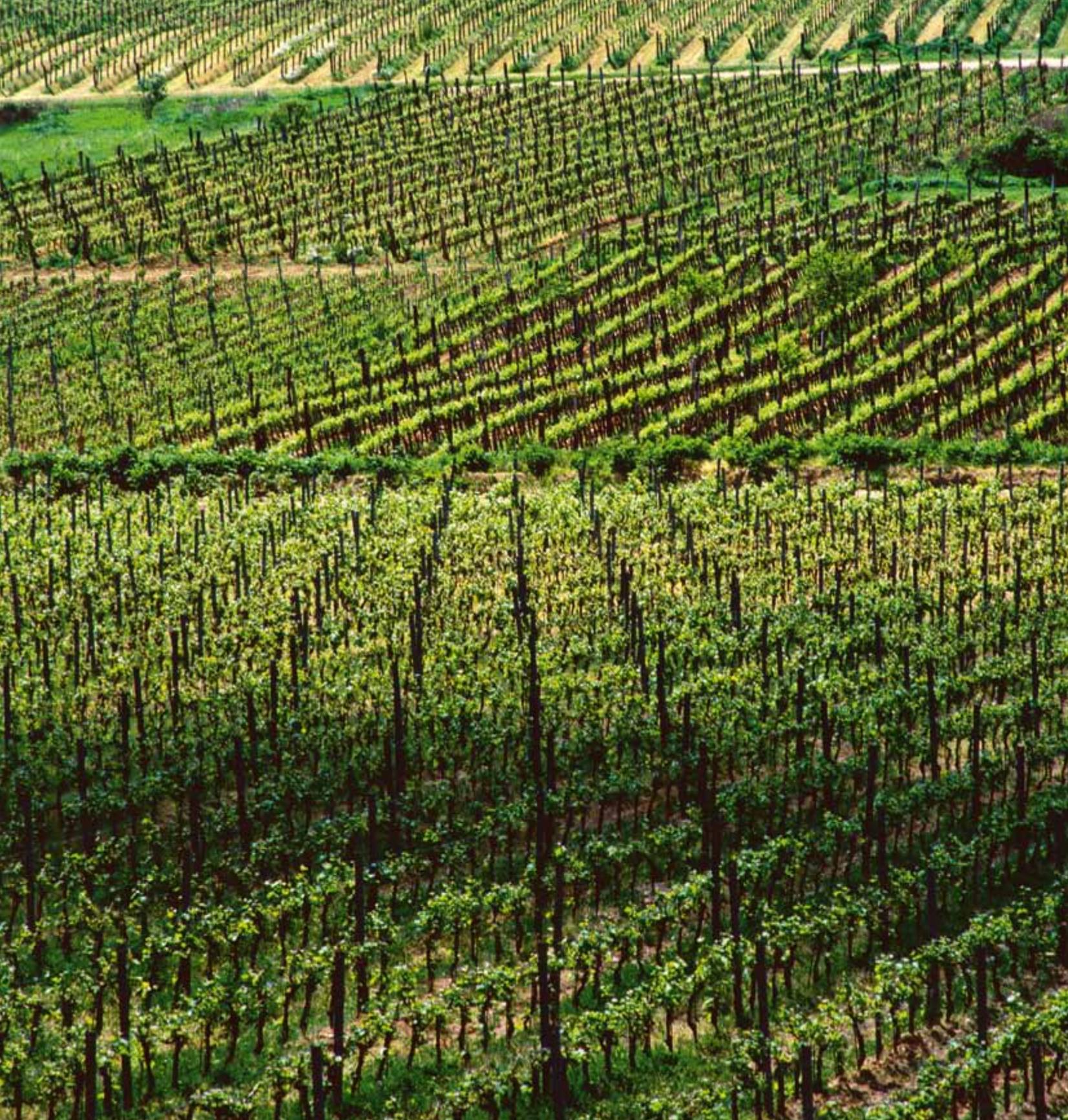 Croatia image