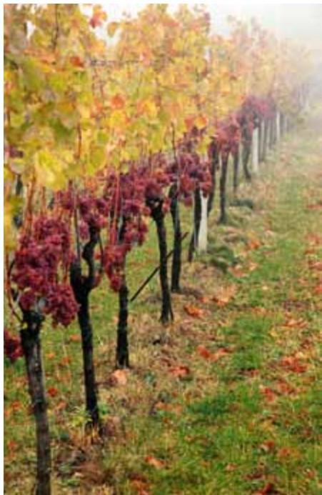 Croatia image