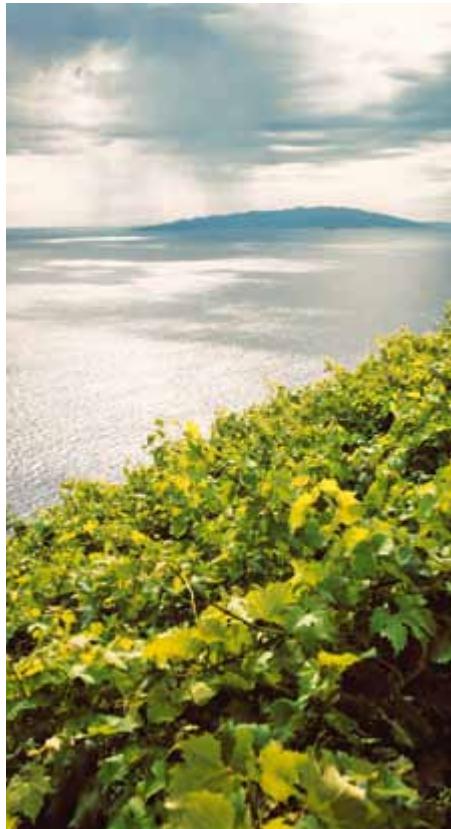 Croatia image