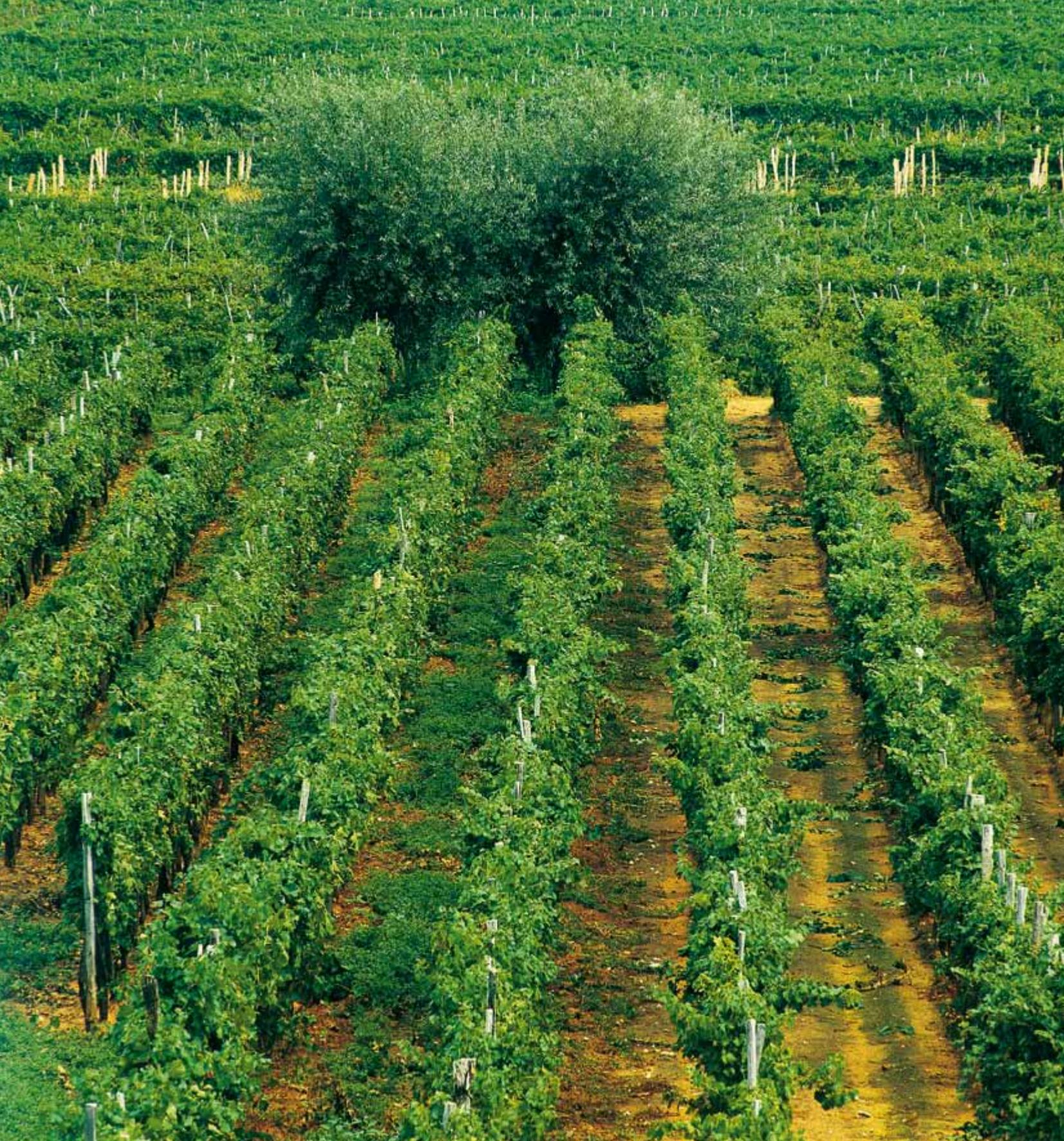 Croatia image