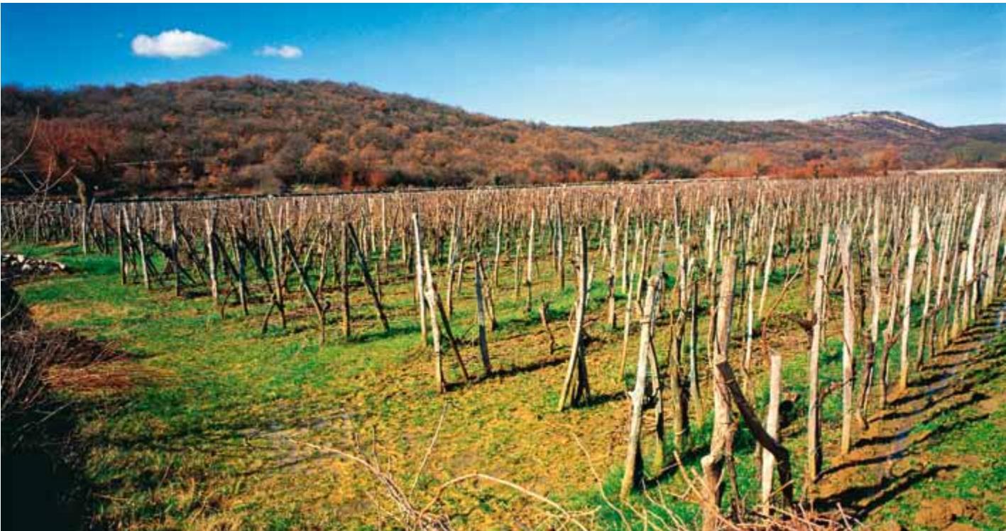 Croatia image