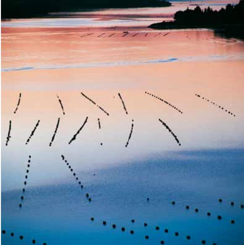 Croatia image