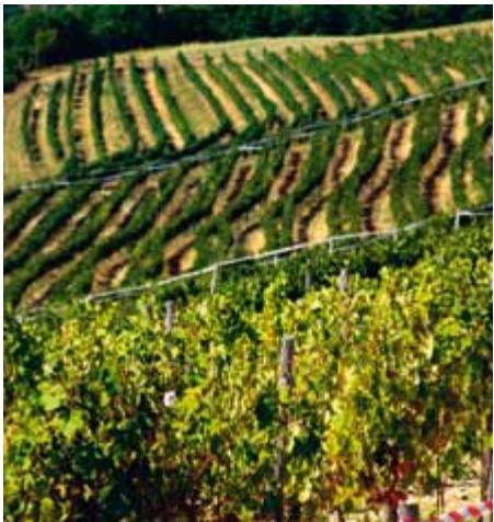 Croatia image