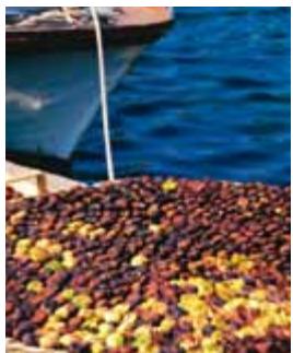 Croatia image