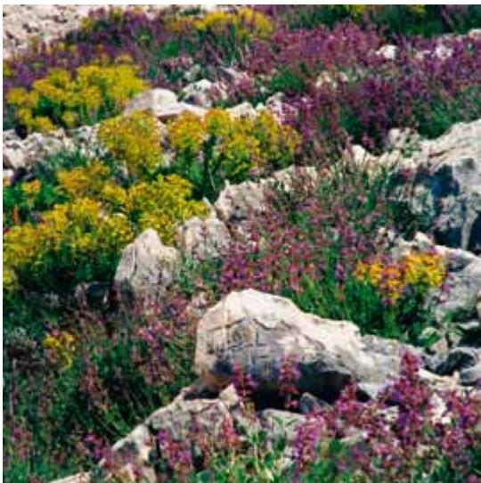 Croatia image