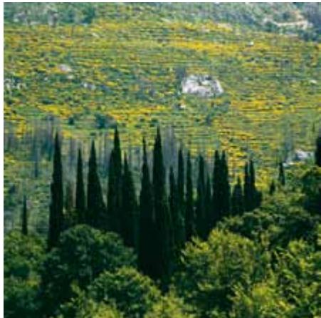 Croatia image