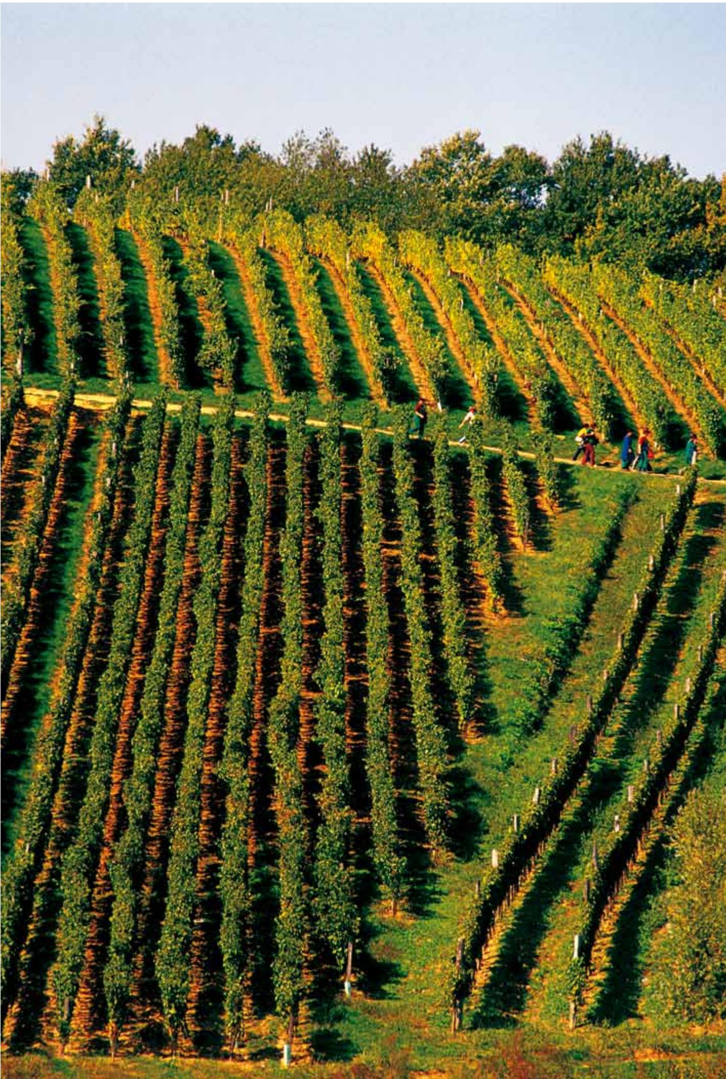 Croatia image