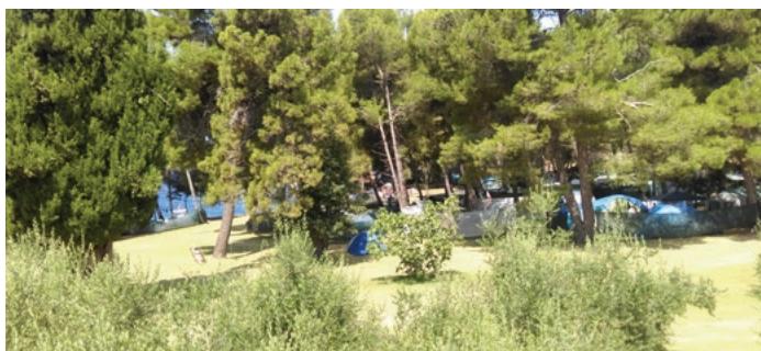 Kamping image