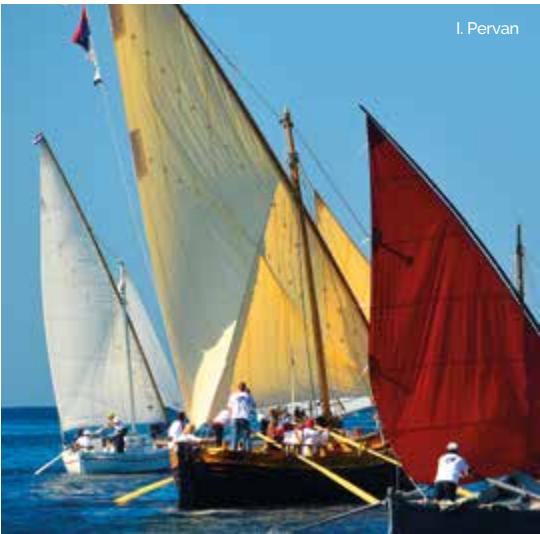 Marine image