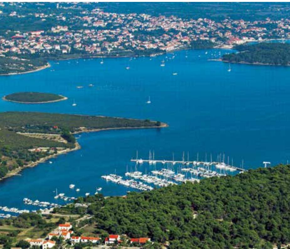Marine image