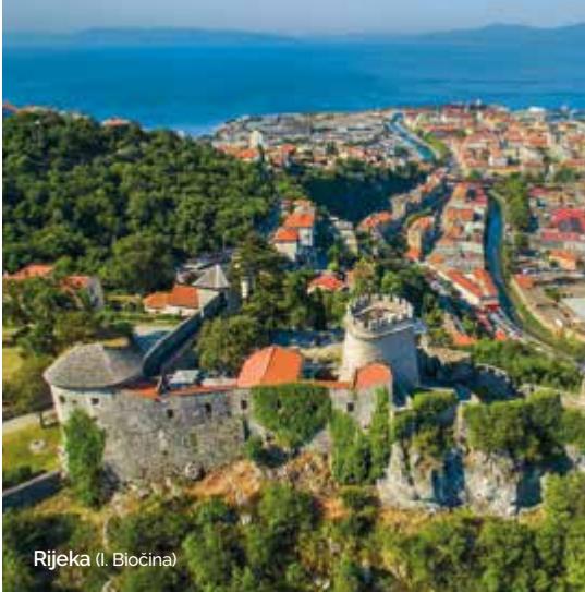 Marine image