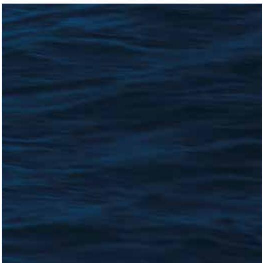 Marine image
