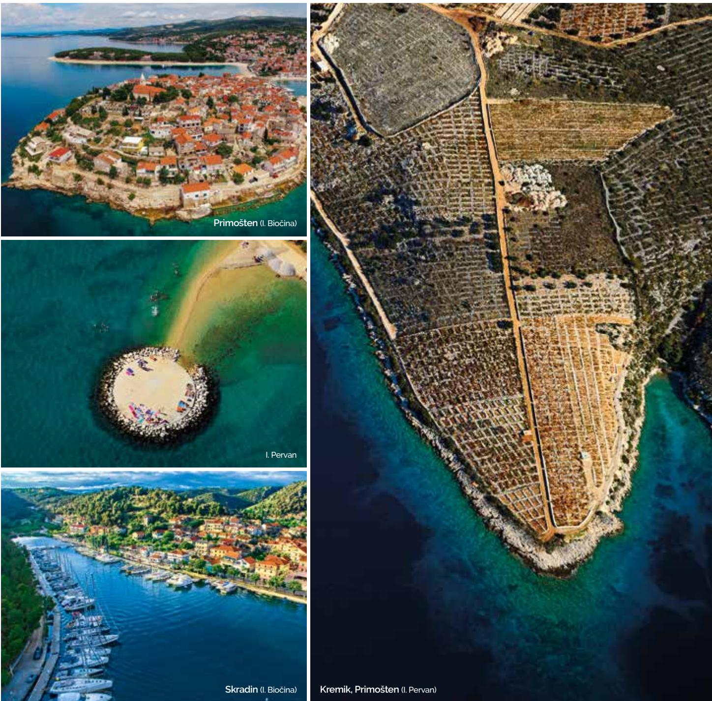Marine image