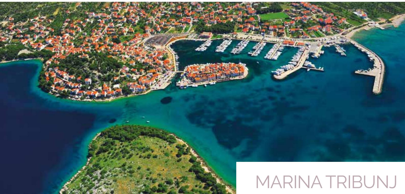 Marine image