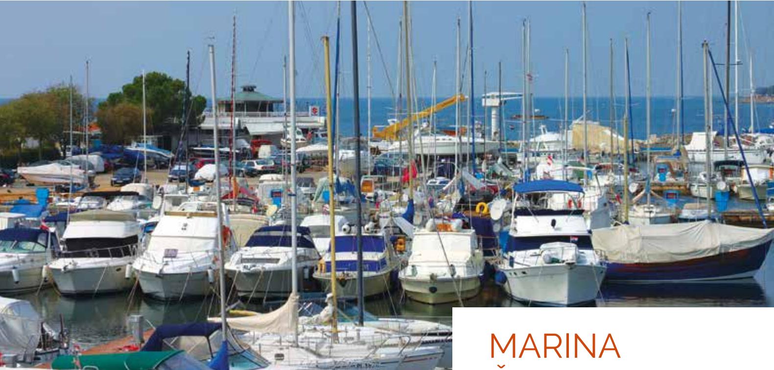 Marine image