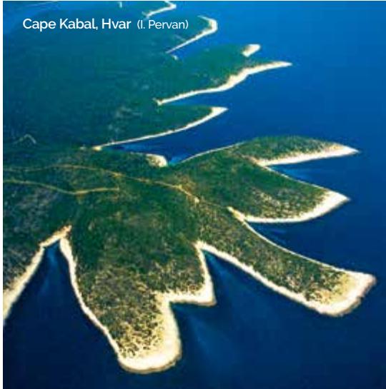 Marine image