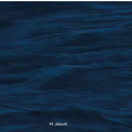 Marine image