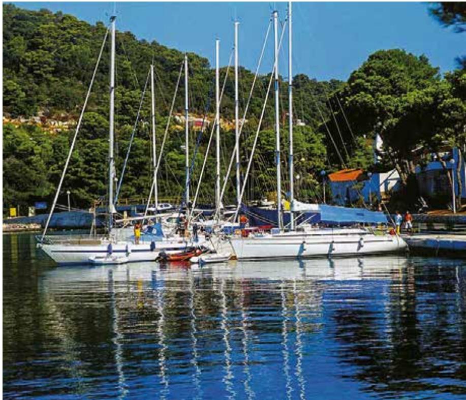 Marine image