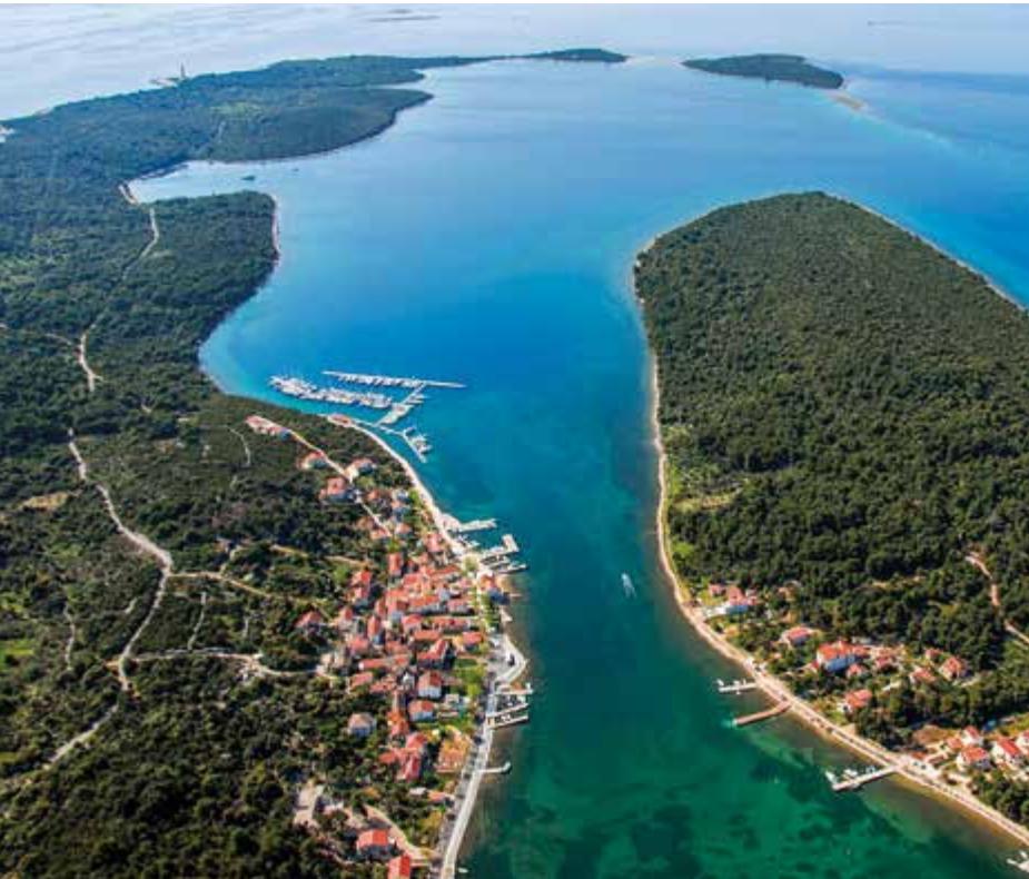 Marine image