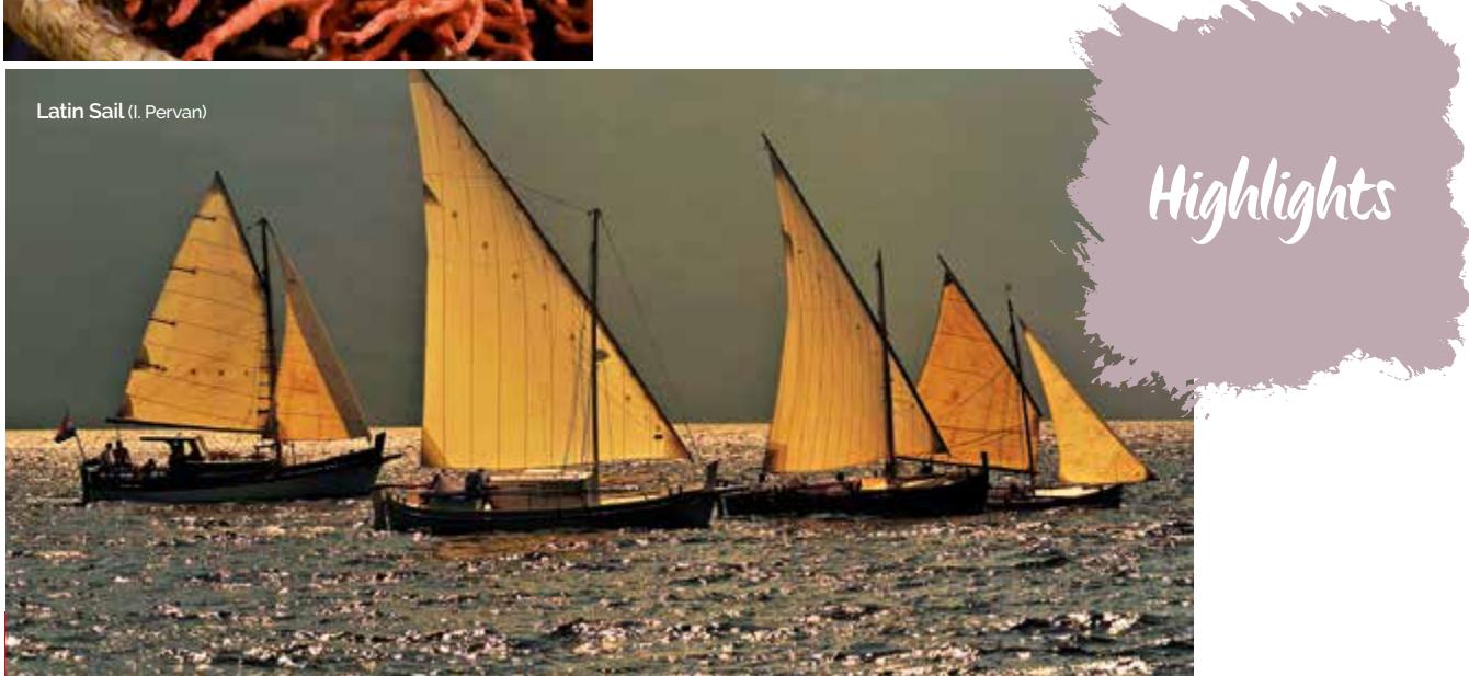 Marine image