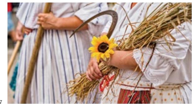 Slavonija image