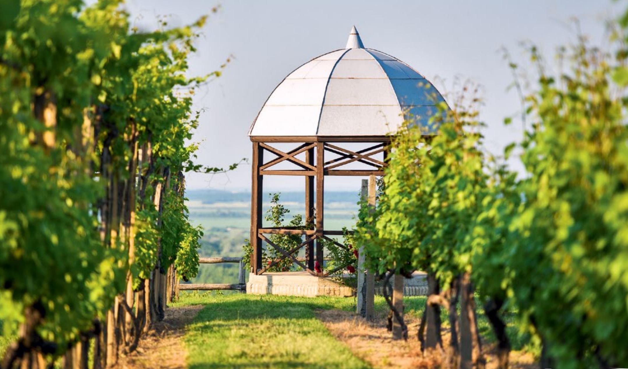1 A vineyard in Erdut | MATIJA šCULAC | 2 Principovac, Traminer wine | sINIšA USTULICA | 3 Wine tasting room, Kutjevo | sINIšA USTULICA | 4 Baranja vineyards | MATIJA šCULAC 5 Ilok |IVO BIOČINA | 6 Kutjevo | BOJAN HARON MARKIčEvIC | 7 Brodski Stupnik |sAŠA PJANIC | 8 Wine tasting room, Bošnjaci | SINISA UTULICA | 9 Pleternica |IVO BIOCINA