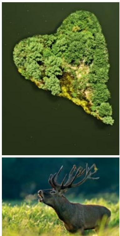 Kopački rit Nature Park