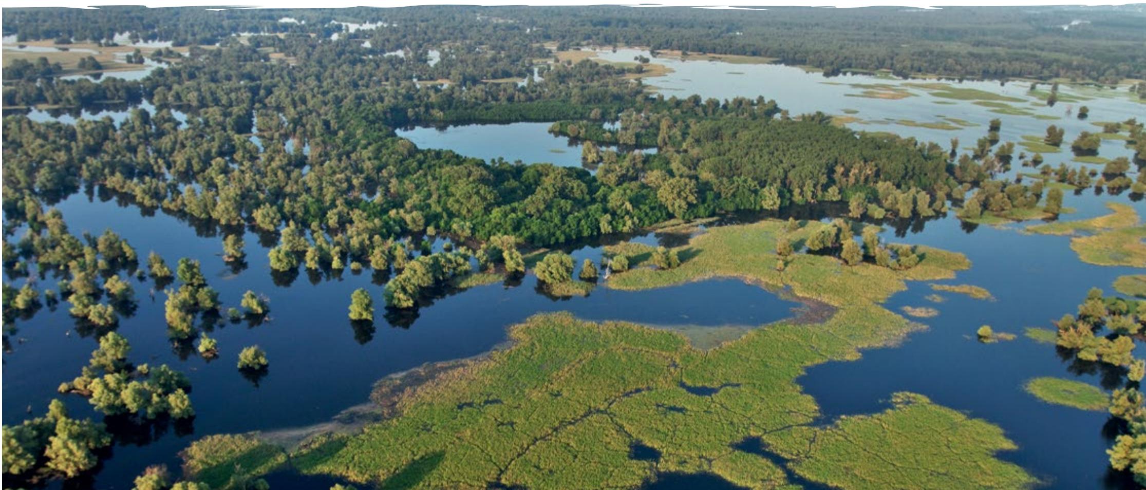 Slavonija image