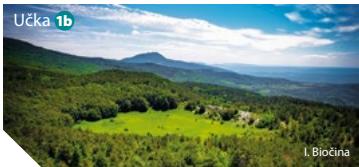 Tourist Info image