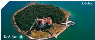 Tourist Info image