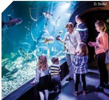 Aquatika - freshwater aquarium Karlovac presents the flora and fauna of Croatian rivers and lakes, its geological history, traditional culture and history of the basin of the four rivers of Karlovac.