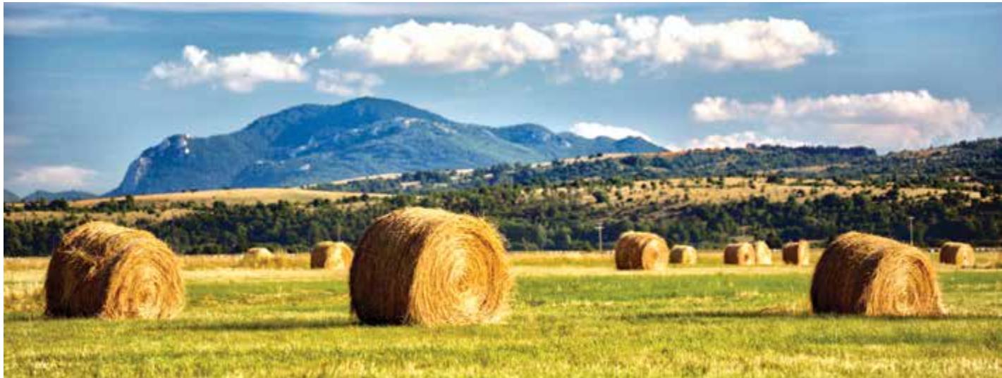 Green Croatia image