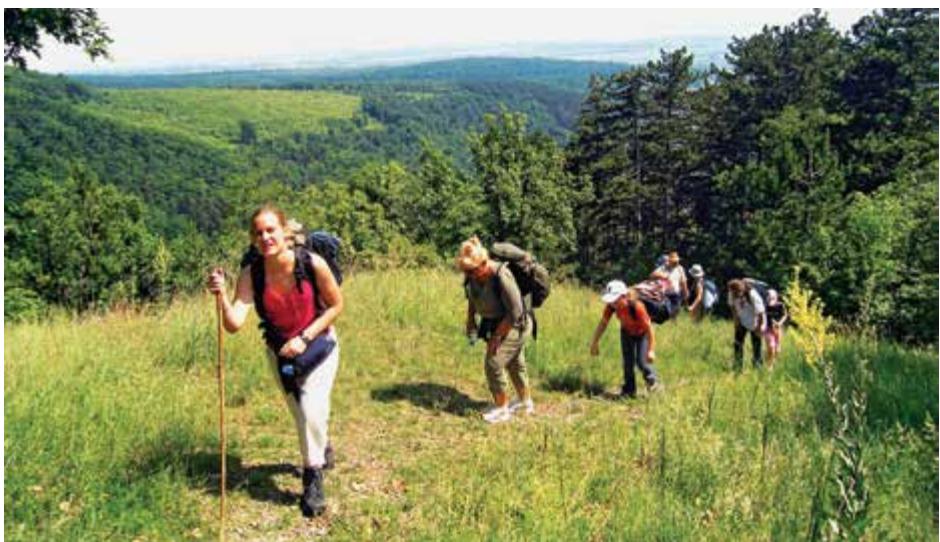 Green Croatia image