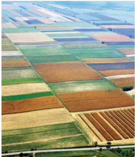 Green Croatia image