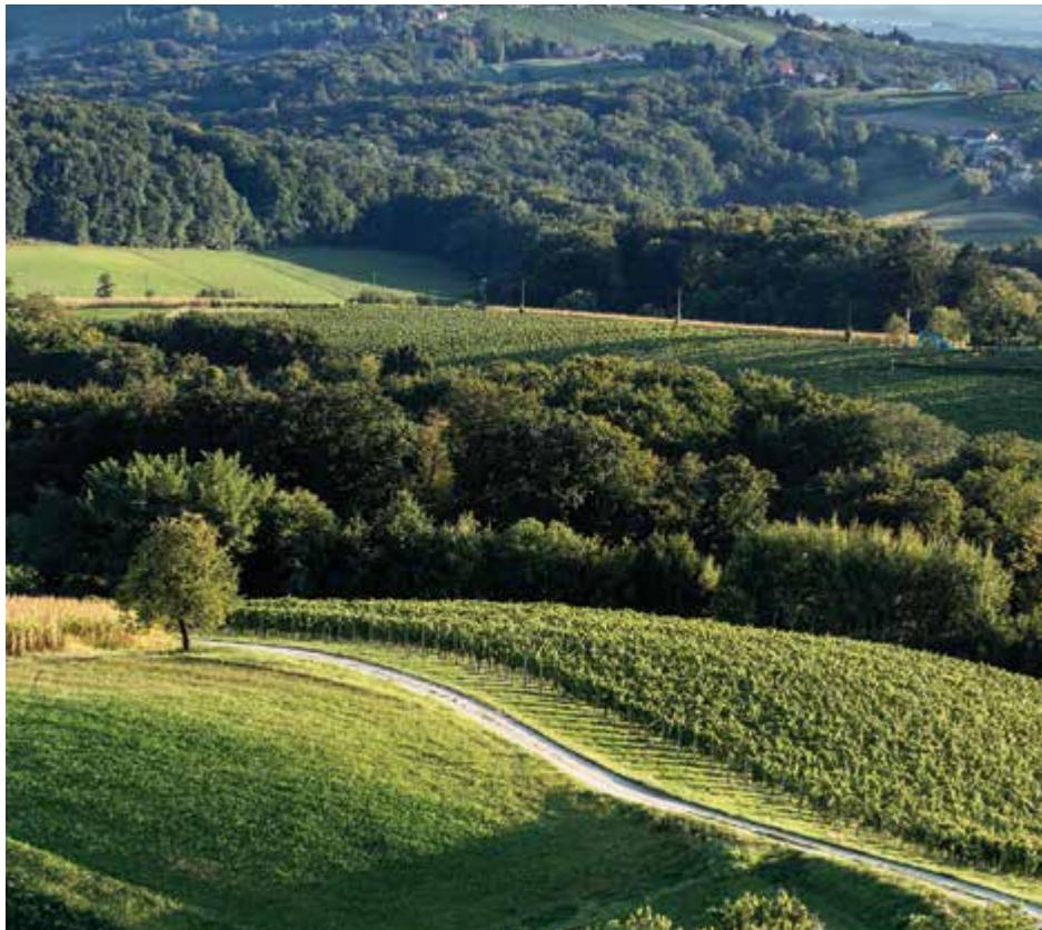 Green Croatia image